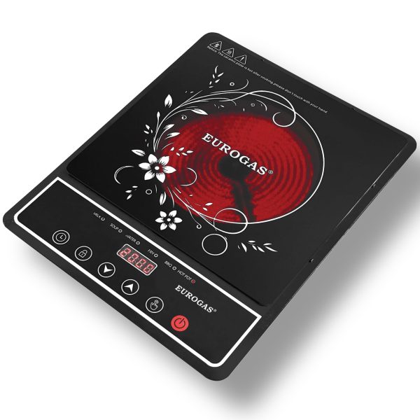 Energy-efficient Eurogas EG-F029 infrared cooker for Bangladesh